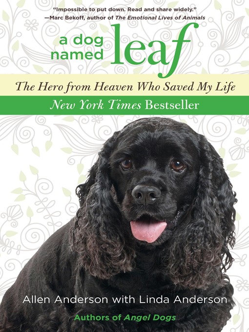 Cover image for Dog Named Leaf